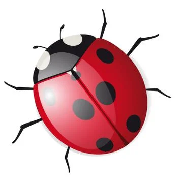 Cute vector Ladybird Stock Illustration