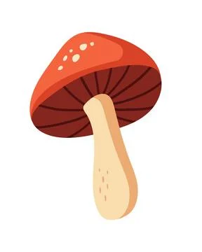 Cute Vector Mushroom with Red Cap Stock Illustration