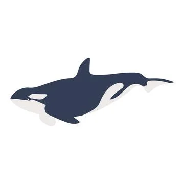 Cute vector ocean illustration with killer whale.Underwater cartoon creatures Stock Illustration