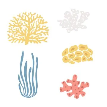 Cute vector ocean set with algae, corals,.Underwater cartoon creatures.Marine Illustrazione stock