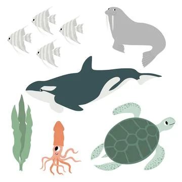 Cute vector ocean set with killer whale, turtle, walrus, squid, scalaria Illustrazione stock