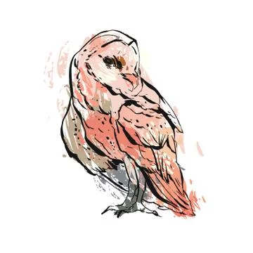 Cute vector owl characters showing different species. Vector illustration. Stock Illustration