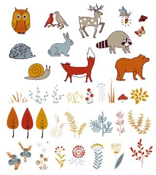 Cute vector set with doodle forest plants and animals. Birds, bear, deer, rac Stock Illustration