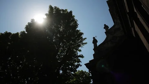 Cute view of sky. Silhouette of trees with leaves. Buildings. Outdoors Stock Footage 100126587