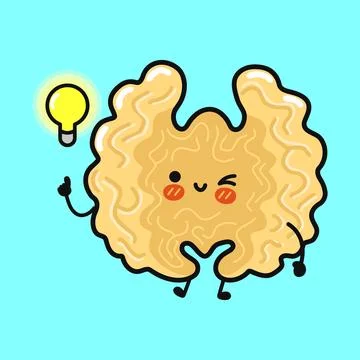 Cute walnut brain character having new idea Stock Illustration