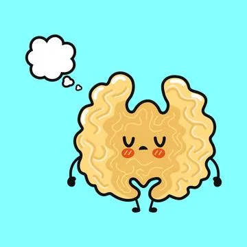 Cute walnut character thinking with a thought bubble Stock Illustration