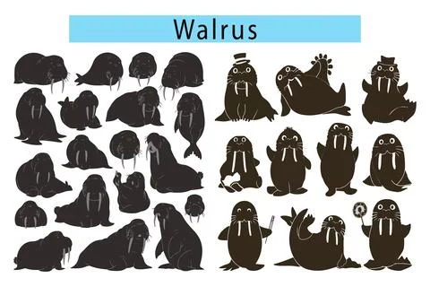 Cute Walrus vector illustration, Walrus silhouette vector graphics Stock Illustration