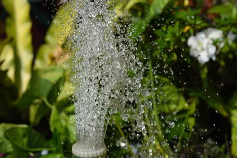 A cute Water display system Stock Photos