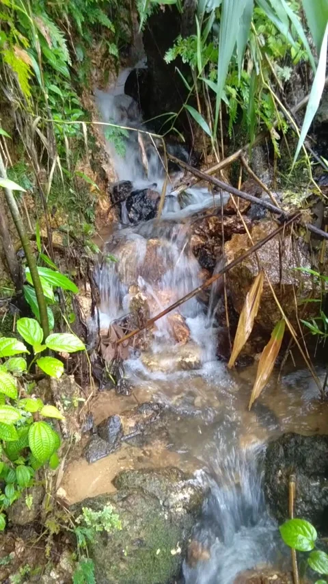 Cute waterfall and charming Stock Footage 219441545