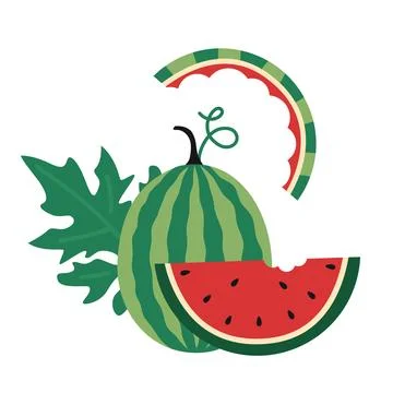 Cute watermelon. Whole fruit, slice with a bite and leaf. Trendy modern vec.. Stock Illustration