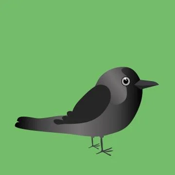 Cute western jackdaw Illustrazione stock