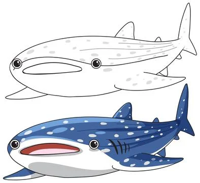 Cute Whale Shark Vector Illustration in Color and Line Art Style Stock Illustration