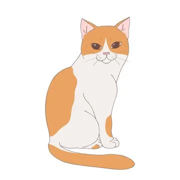 Cute white and ginger cat posing isolated on white background Stock Illustration