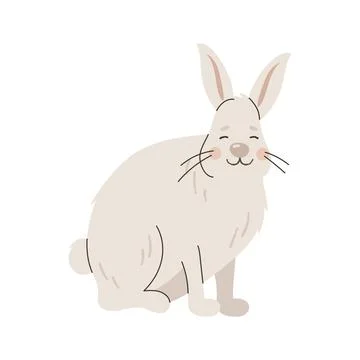 Cute white arctic hare bunny sitting isolated on white background vector illu Stock Illustration