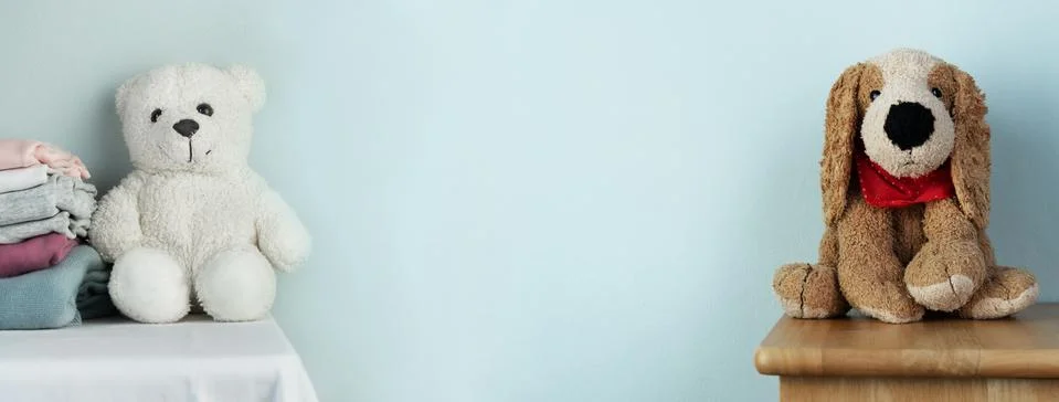 Cute white bear and brown dog doll with cloth and siting at home in physical Stock Photos