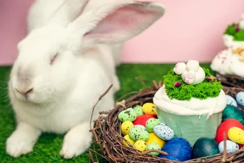 A cute white big rabbit is sitting on the green grass next to an Easter cak.. Stock Photos
