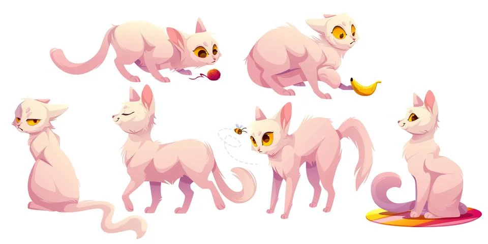 Cute white cat character in different poses Stock Illustration