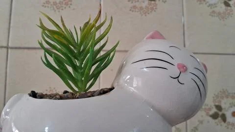 Cute white ceramic cat planter holding a small green plant Stock Photos