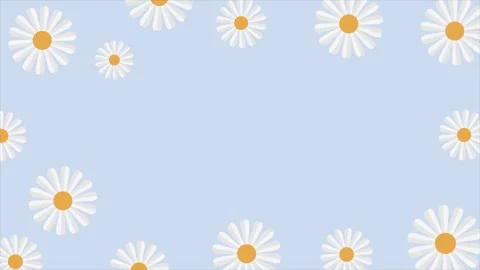 Cute white daisy flowers frame background with copy space on pastel blue. Video stock 332259470