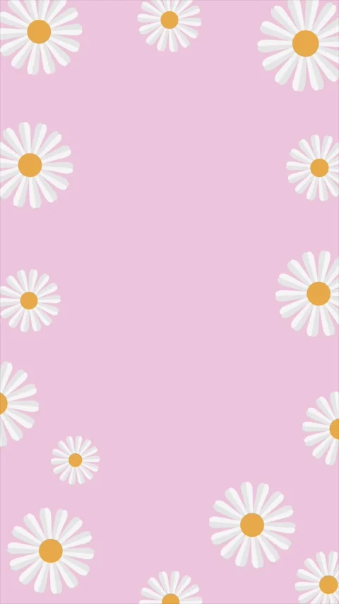 Cute white daisy flowers frame background with copy space on pastel pink. Stock Footage 332420729