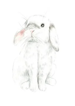 Cute white easter bunny isolated on white background. Stock Illustration