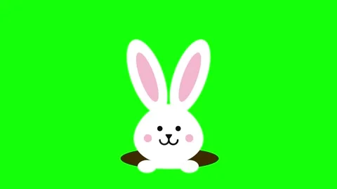 Cute white Easter bunny peeking out of a hole on green screen. Stock Footage 330230919