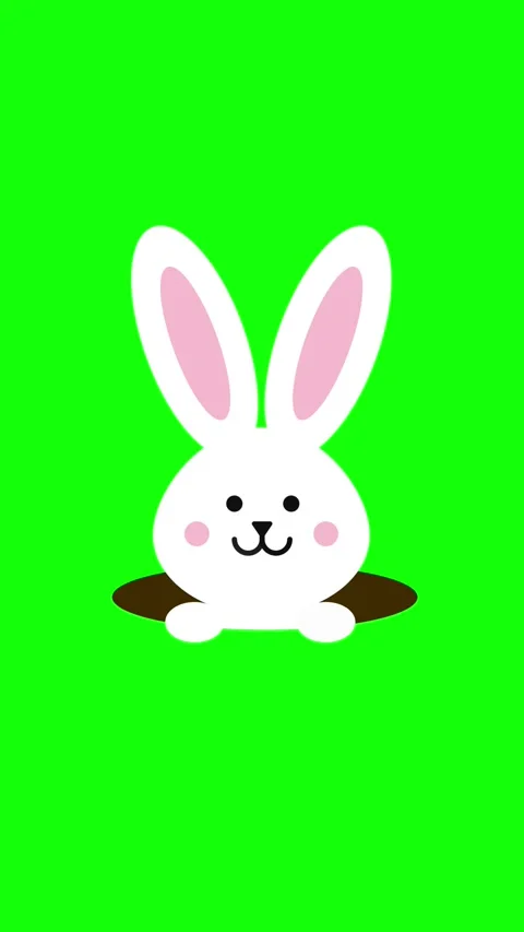 Cute white Easter bunny peeking out of a hole on green screen. Stock Footage 330230920