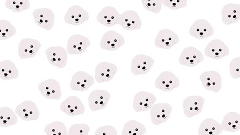 Cute White Poodle Dog Head Seamless Pattern on Isolated White Background Stock Footage 345539296