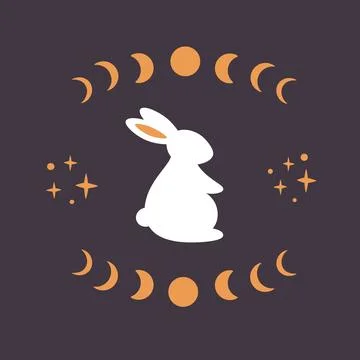 Cute white rabbit with astrological, esoteric elements. Moon phases, stars Stockillustratie
