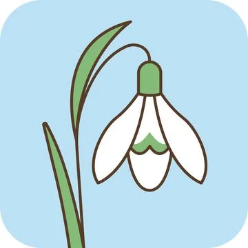 Cute white snowdrop flower flat icon with thick outline on blue background. Stock Illustration