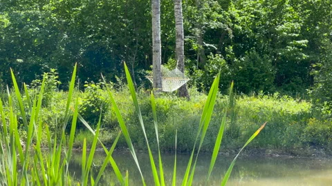 Cute white swing between the trees in a sunny weather Stock Footage 159870750