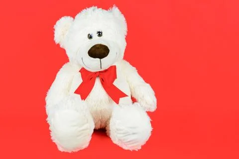 Cute white teddy bear Stock Photos