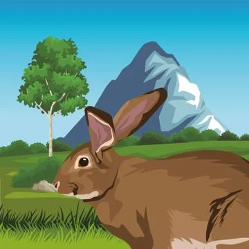 Cute wild rabbit in the landscape Stock Illustration