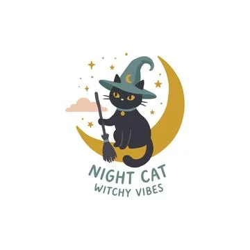 Cute witch cat sitting on a crescent moon with a broom and starry sky Stock Illustration