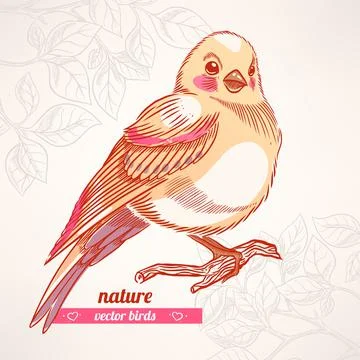 Cute yellow bird Stock-Illustration