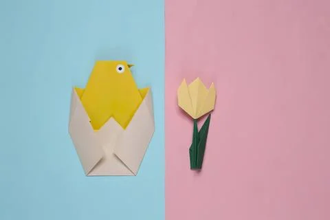 Cute yellow chick in eggshell and yellow tulip flower Stock Photos