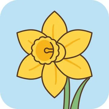 Cute yellow daffodil flower flat icon with thick outline on blue. Stock Illustration