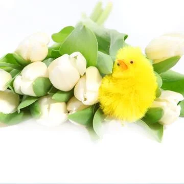Cute yellow easter chicken Stock Photos