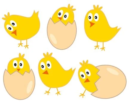 Cute yellow easter chickens with eggs - vector illustration isolated on white Stock Illustration