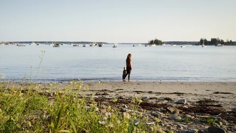Cute Young Boy Child Walking Beach Sand Park Nature 4K New England Maine 库存影片 103492845