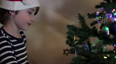 Cute Young Boy Decorates Tree#3 Stock Footage 45660091