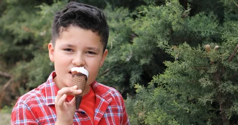 Cute young boy like ice cream Stock Footage 105475118