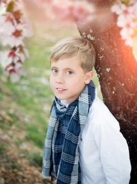 Cute young boy Stock Photos