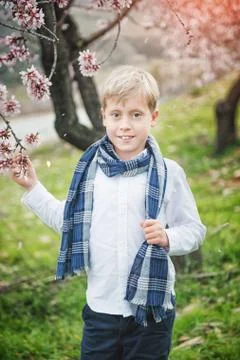 Cute young boy Stock Photos