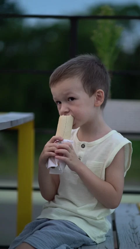 Cute young boy smiling while holding and eating a hot dog  Video stock 341409983