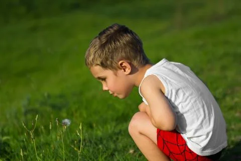 A cute young toddler boy kneeling over green grass. Stock Photos