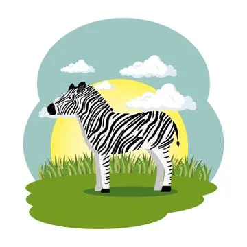 Cute zebra in the field scene Illustrazione stock