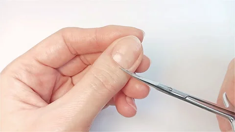 Cuticle cutting Stock Footage 260328717