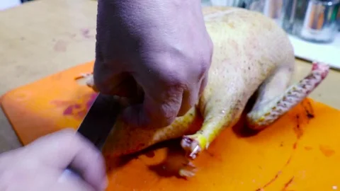 Cuting the back of the bird at home Stock Footage 78876294