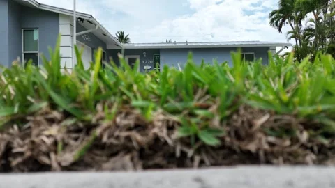 Cutler Bay Florida Stock Footage 288015837